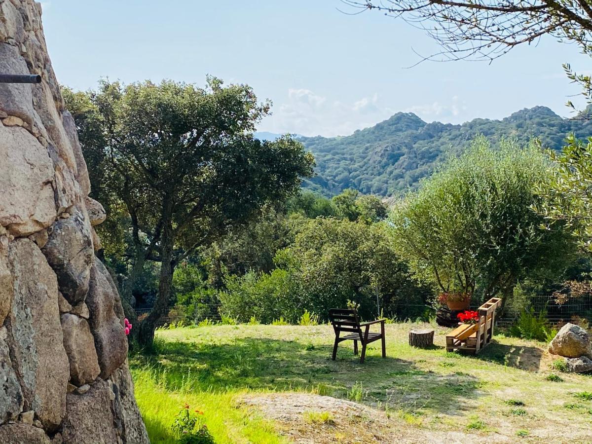 Il Nuraghe Del Lago Coghinas Oschiri Exteriér fotografie