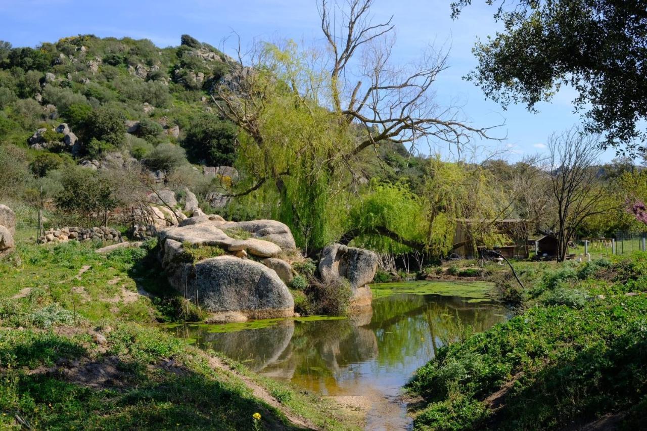 Il Nuraghe Del Lago Coghinas Oschiri Exteriér fotografie