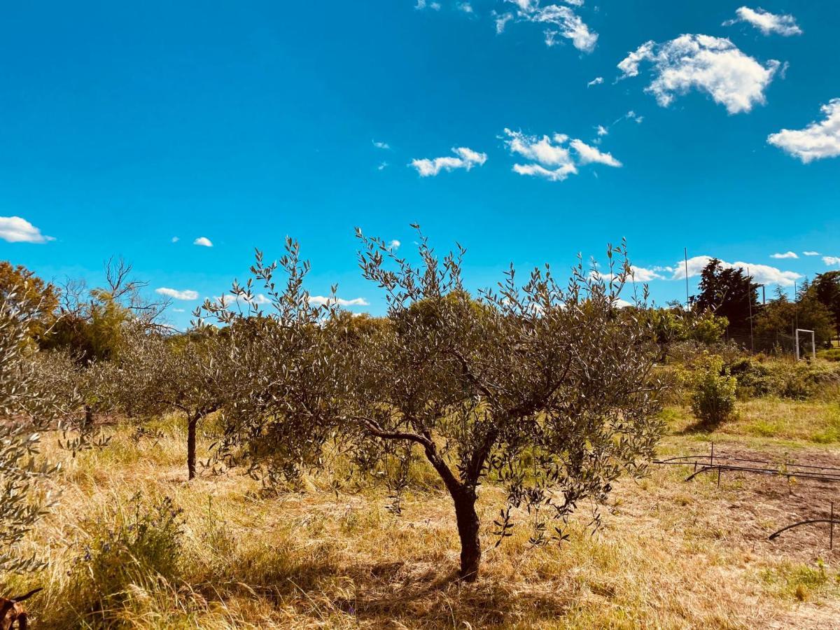 Il Nuraghe Del Lago Coghinas Oschiri Exteriér fotografie