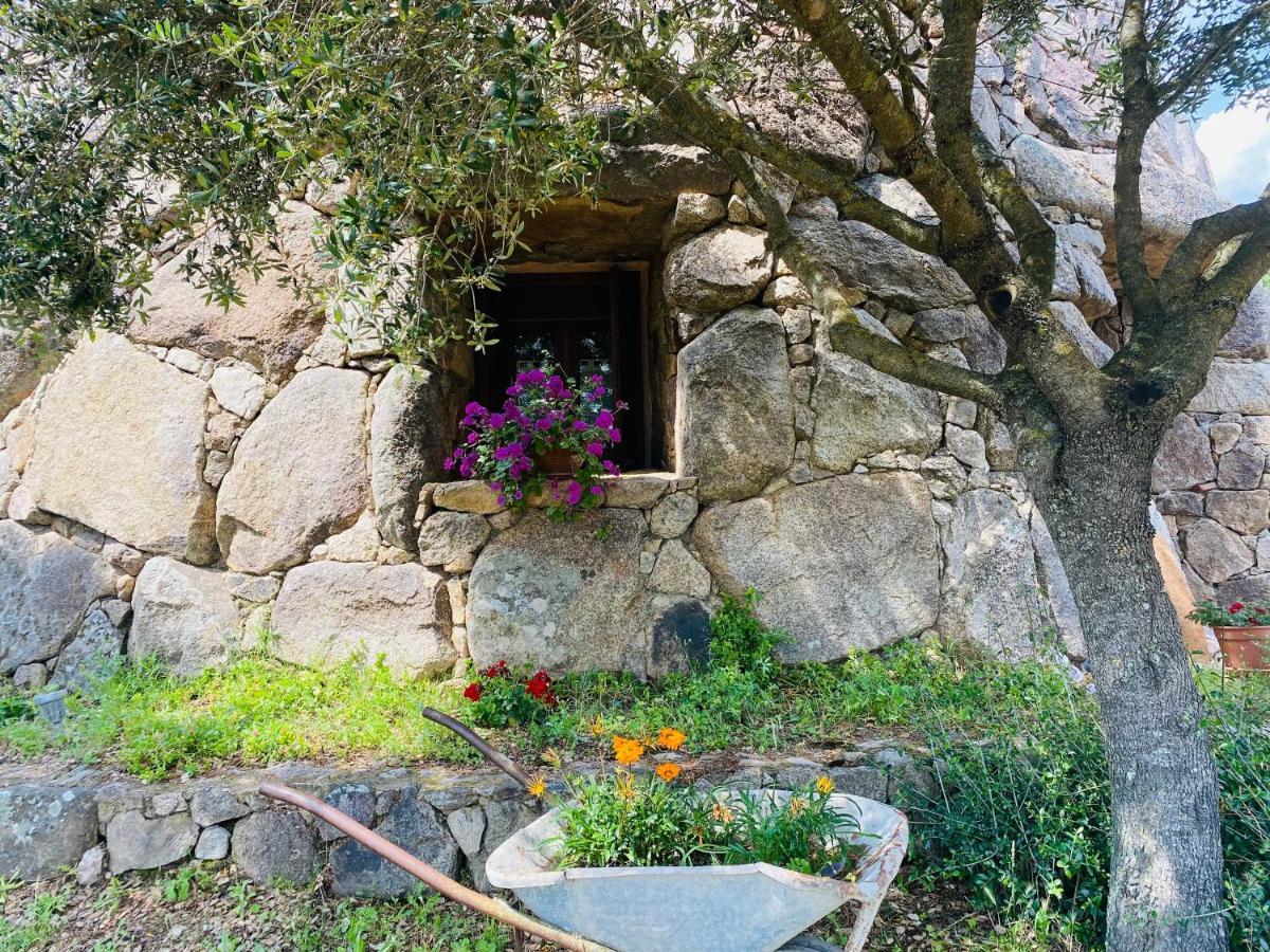 Il Nuraghe Del Lago Coghinas Oschiri Exteriér fotografie