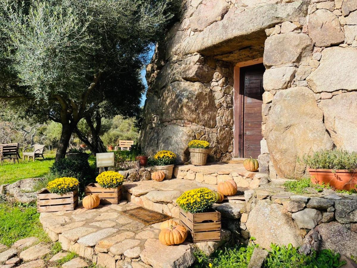 Il Nuraghe Del Lago Coghinas Oschiri Exteriér fotografie