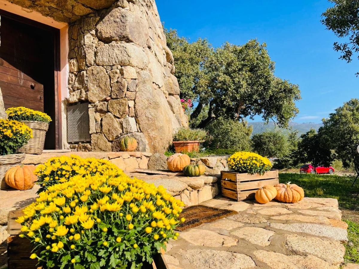 Il Nuraghe Del Lago Coghinas Oschiri Exteriér fotografie