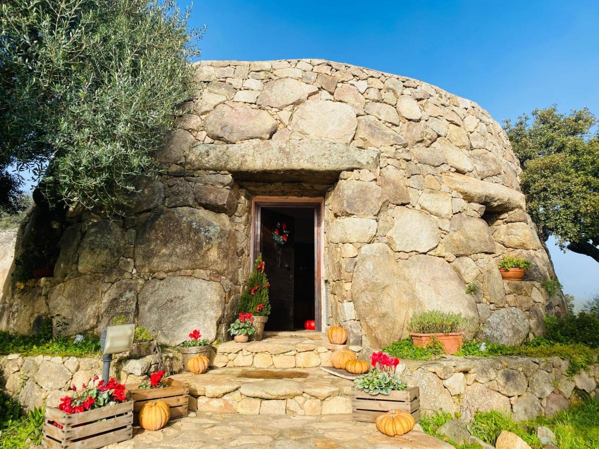 Il Nuraghe Del Lago Coghinas Oschiri Exteriér fotografie