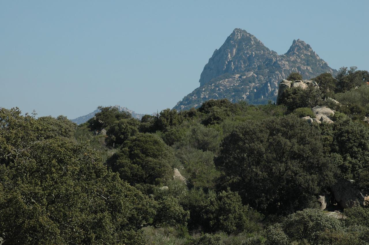 Il Nuraghe Del Lago Coghinas Oschiri Exteriér fotografie